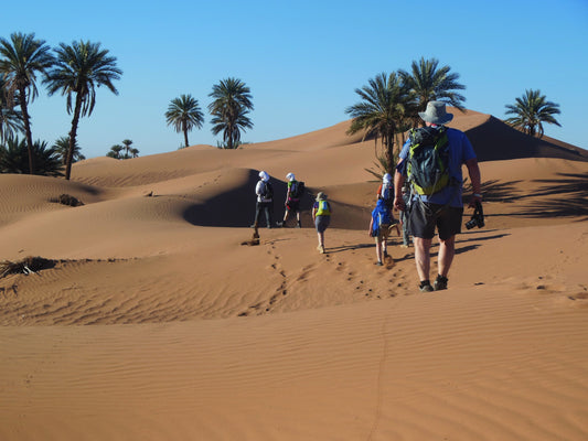 Trek Sahara 2025