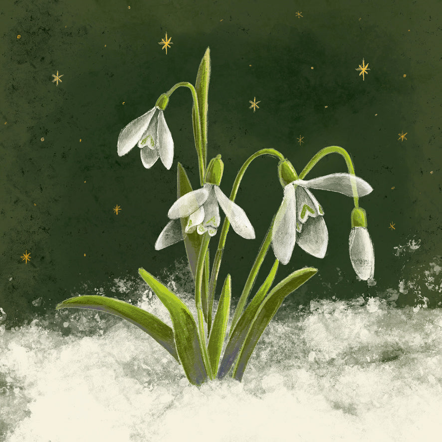 Snowdrops - Pack of 10 Christmas Cards