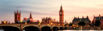 Brain cancer petition at Westminster