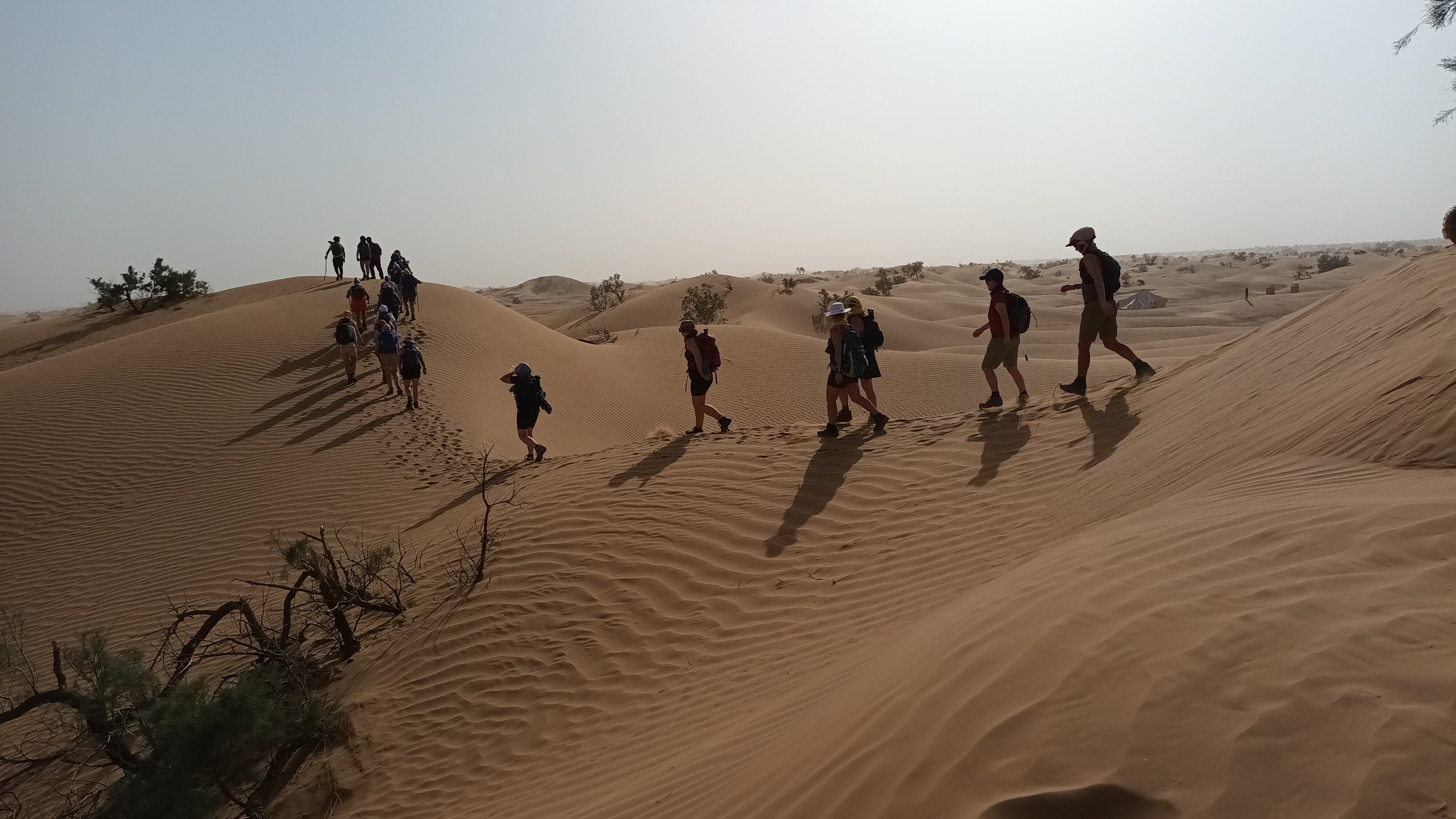 Sahara Desert Trek 2027