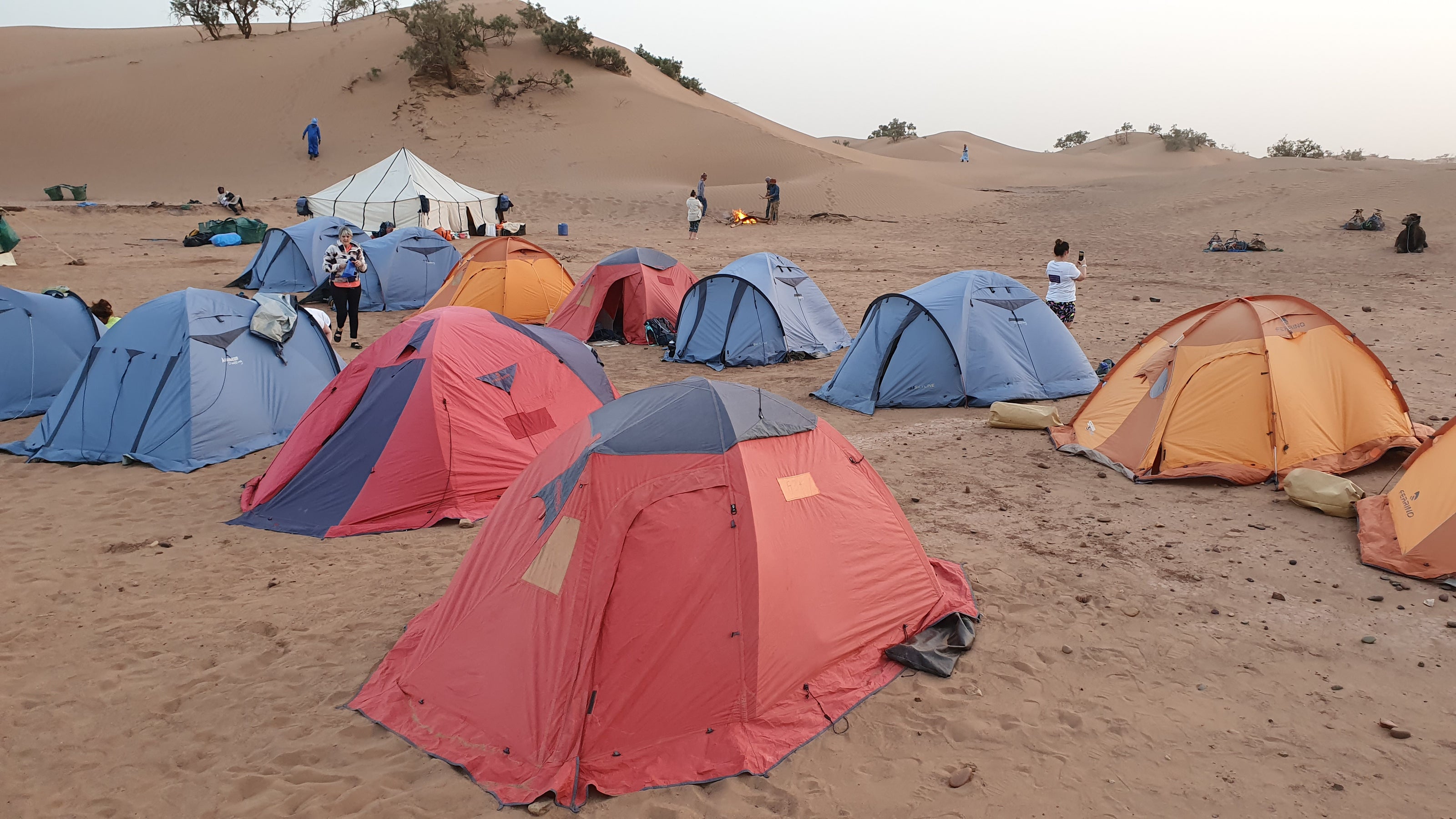Sahara Desert Trek 2027
