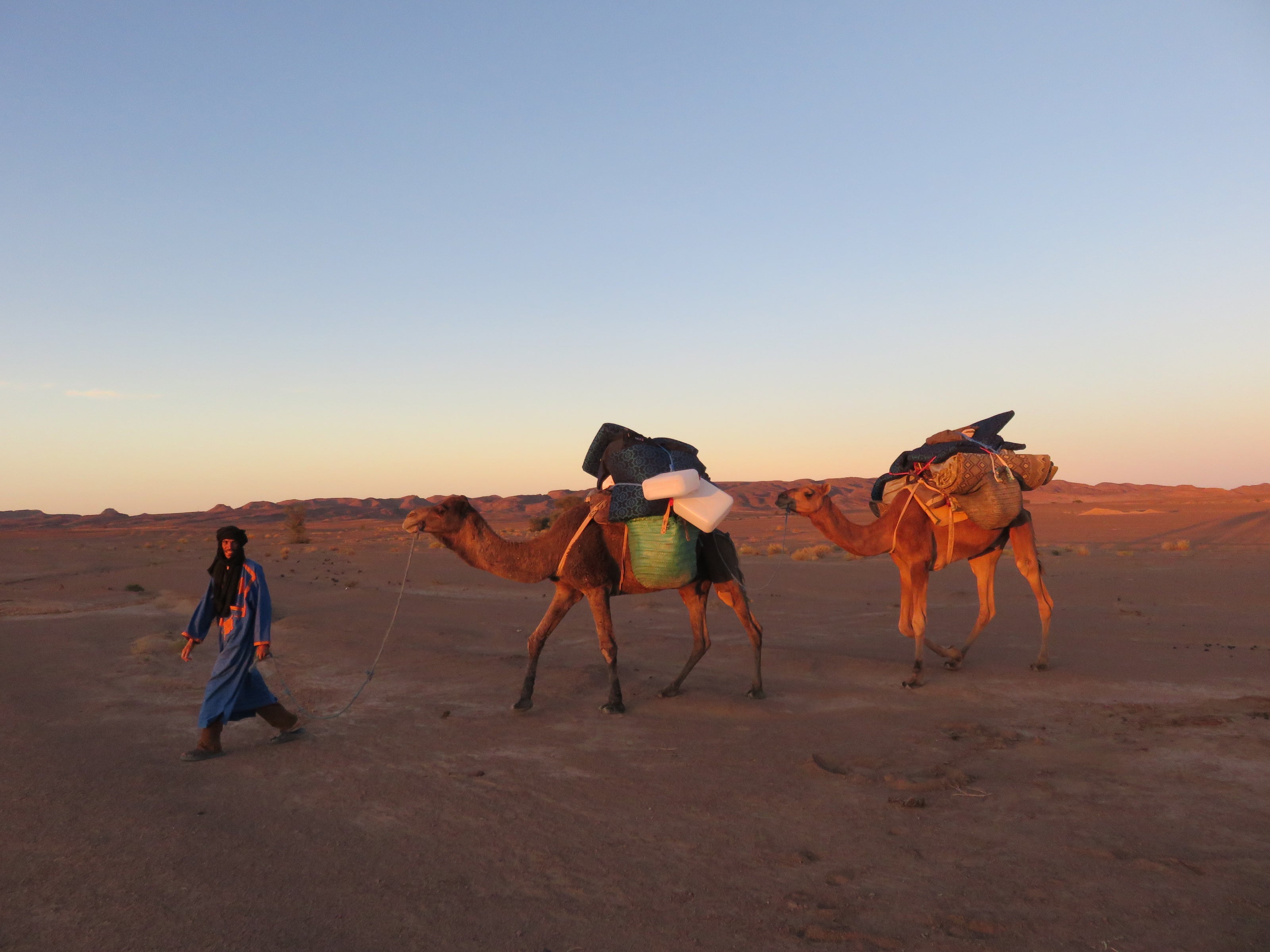 Trek Sahara 2025
