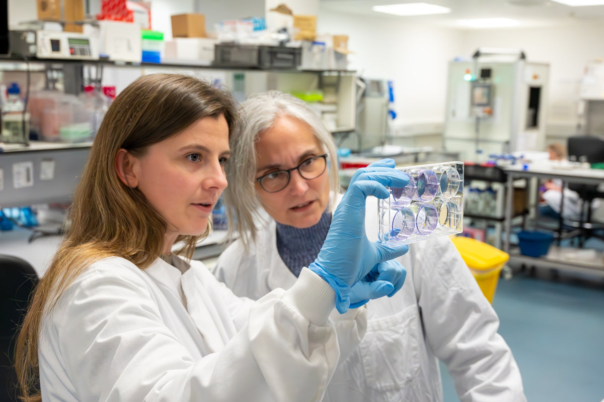 Brain Tumour Research | Together we will find a cure