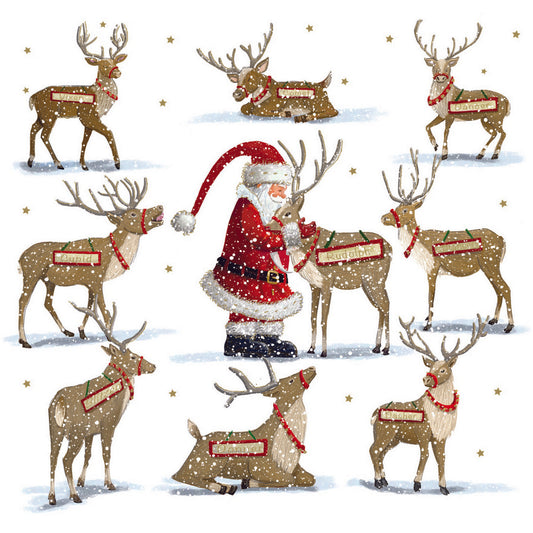 Santa Feeding The Reindeer Christmas Cards - Pack of 10