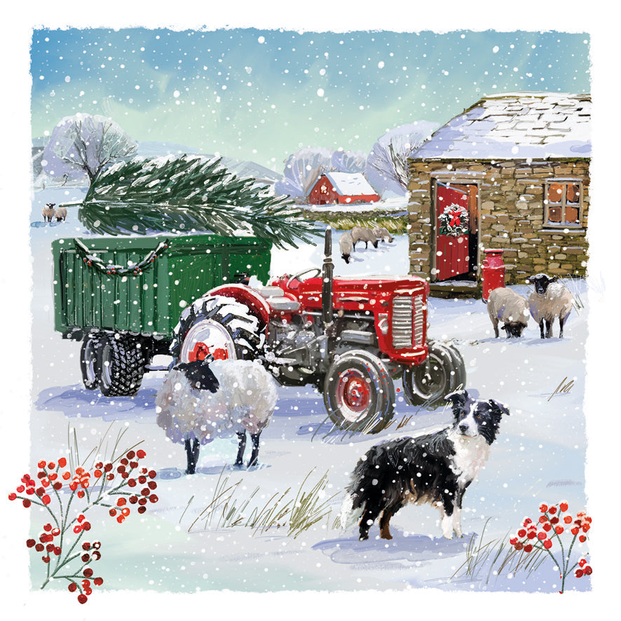 Snow on the Farm - Pack of 10 Christmas Cards