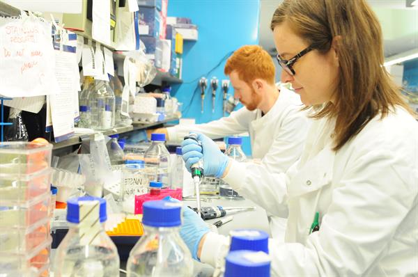 Brain Tumour Research welcomes commitment to the funding of clinical t