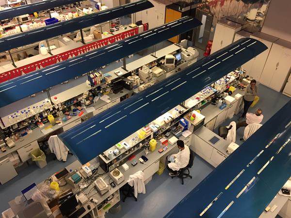 Glioblastoma funding announcement – Brain Tumour Research