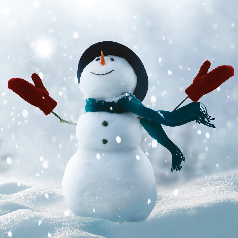 Snow is Falling Christmas Cards | Pack of 10 | Brain Tumour Research