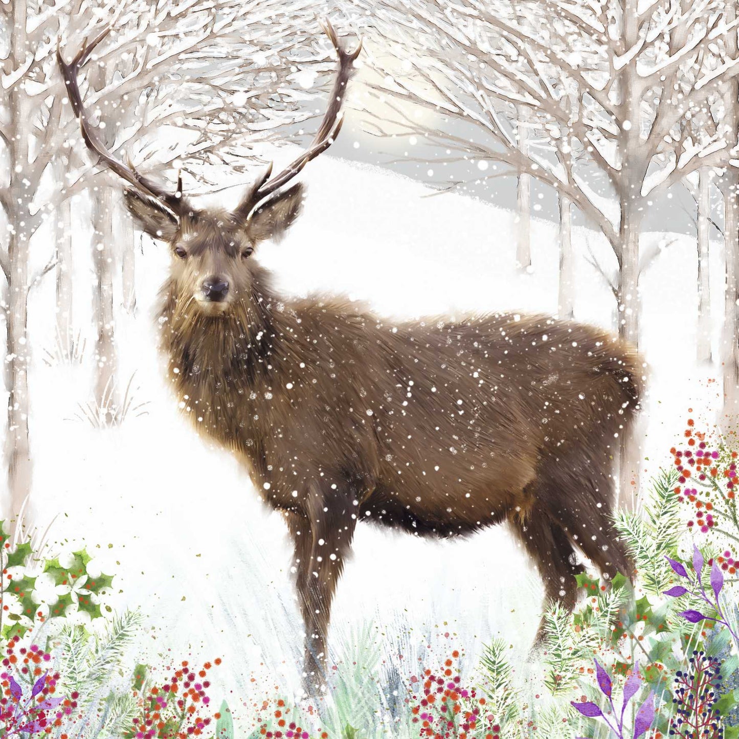 Monarch of the Glen Christmas Cards | Brain Tumour Research